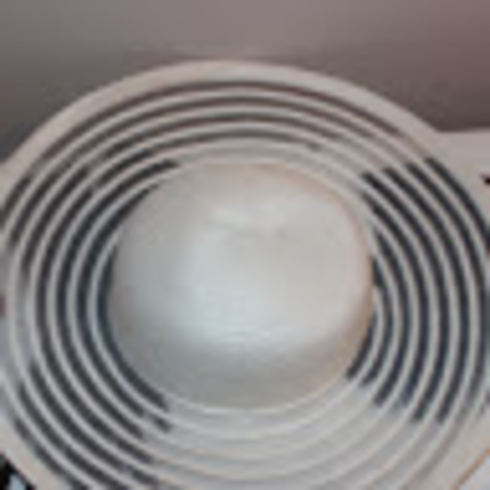 Meet your Posher, Abigail